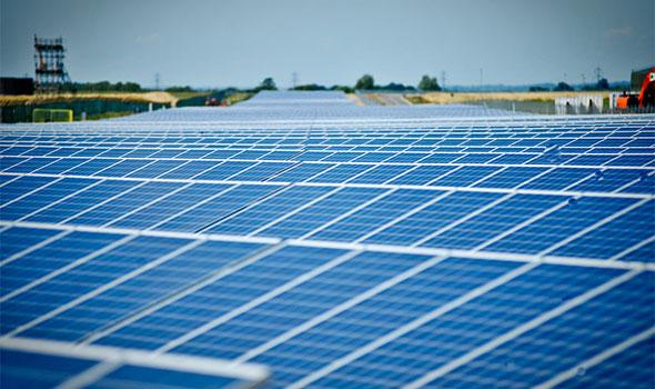 Sustainability at Westcott