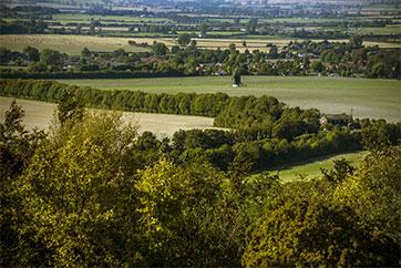 Trees overlooking Westcott
